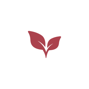 Alt Image